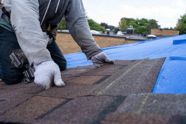 Professional Roofing Contractor in Clinton, MS