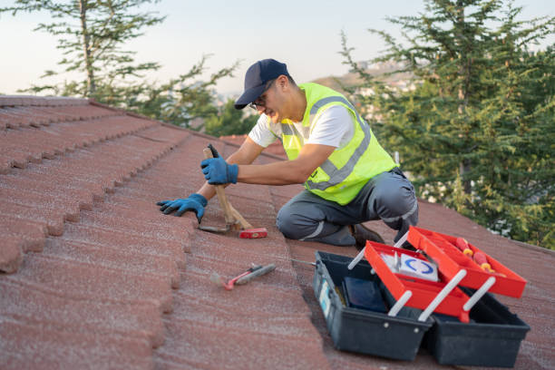 Sealant for Roof in Clinton, MS